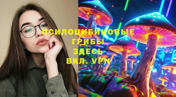 герыч Алзамай