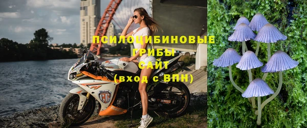 тгк Алексин