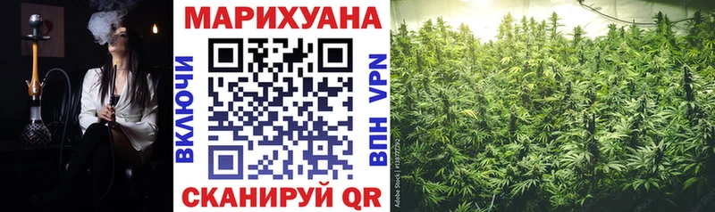 Конопля план  Новая Ляля 